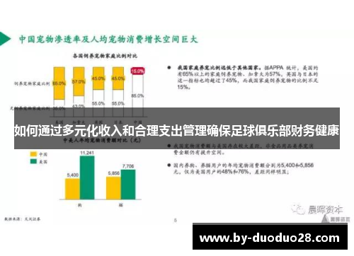 如何通过多元化收入和合理支出管理确保足球俱乐部财务健康