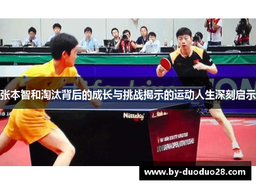 张本智和淘汰背后的成长与挑战揭示的运动人生深刻启示